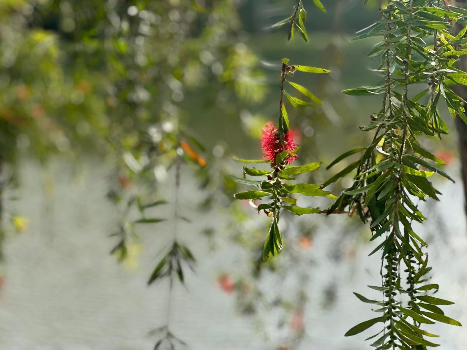 Lakeside Cottage By Clover Nuwara Eliya Buitenkant foto