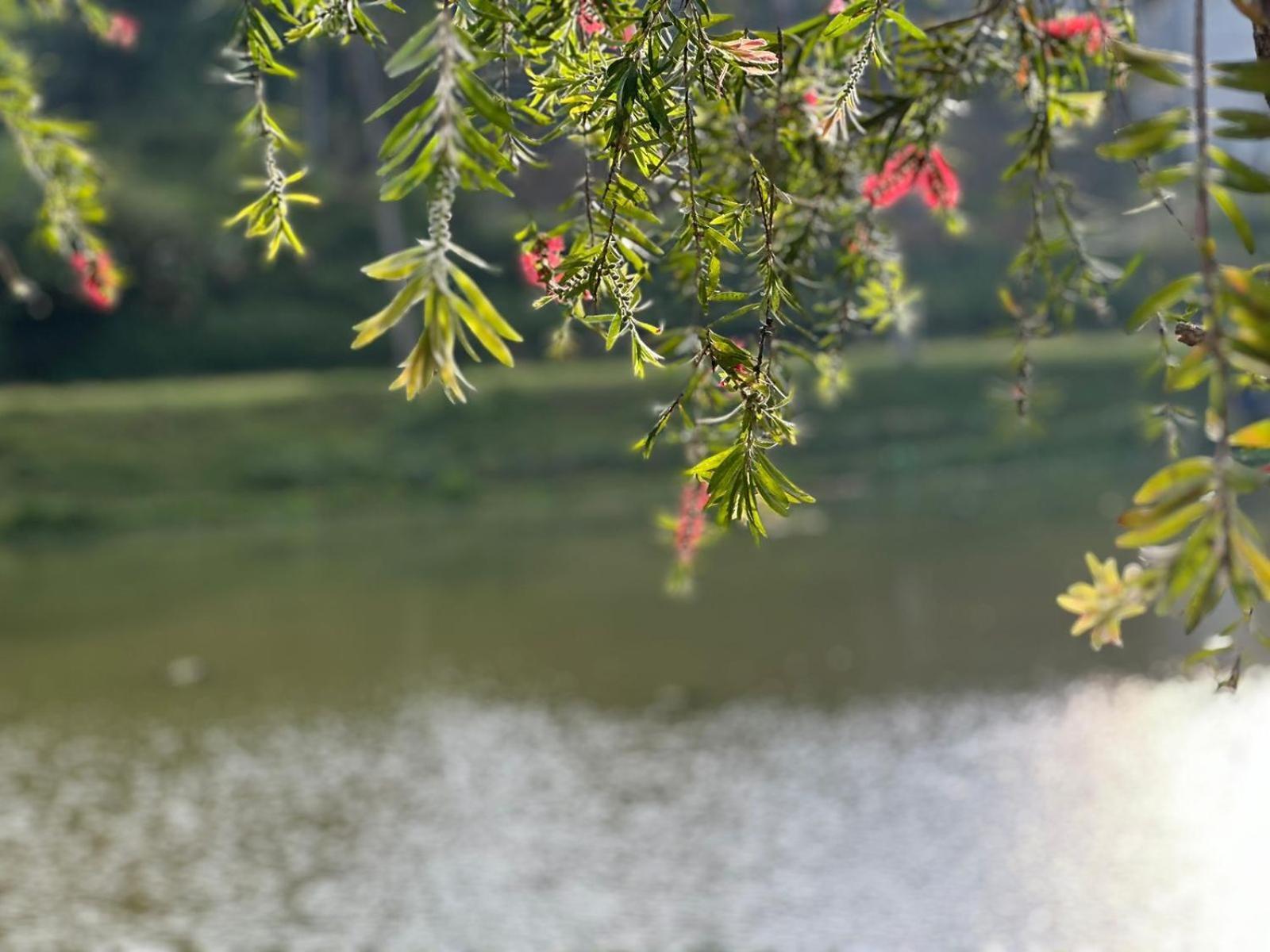 Lakeside Cottage By Clover Nuwara Eliya Buitenkant foto